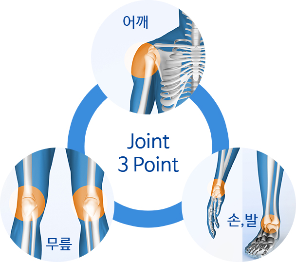 Joint 3 Point - 어깨,무릎,손발